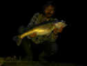 Flyman_Zander77cm1_17-02-2011.jpg (98986 Byte)