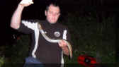Stipper_Aal_59cm_06-06-2013.jpg (51222 Byte)