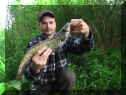 Tom_Wels50cm_09-05-2013.jpg (55570 Byte)