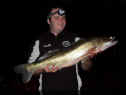 Stipper_Zander80cm_02-07-2014.jpg (43983 Byte)
