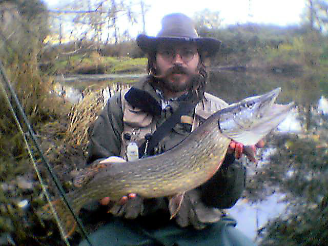Hecht 82cm auf Glitzer-Streamer