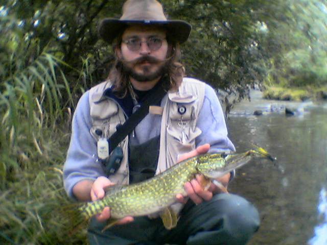 Hecht 55cm, der 4. Angriff auf den Streamer hat gesessen.