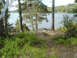 1Norwegen_Di6.jpg (109205 Byte)