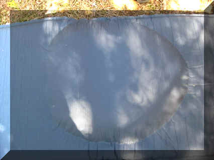 7_D0_001.JPG (50247 Byte)