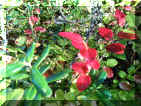 6_soendag_11.JPG (326909 Byte)