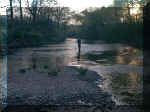 Olli_Insel.jpg (29236 Byte)