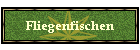 Fliegenfischen